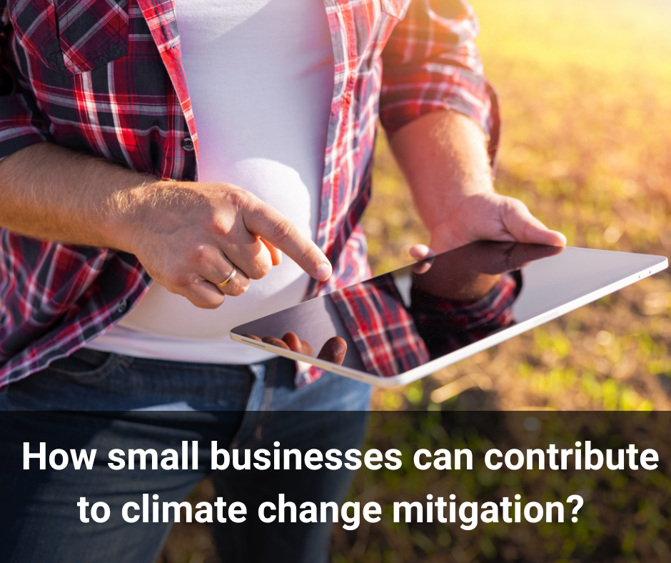 How small businesses can contribute to climate change mitigation